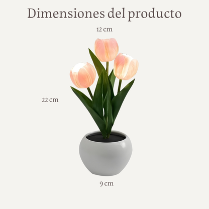 Tulip Led Lampara Rosa